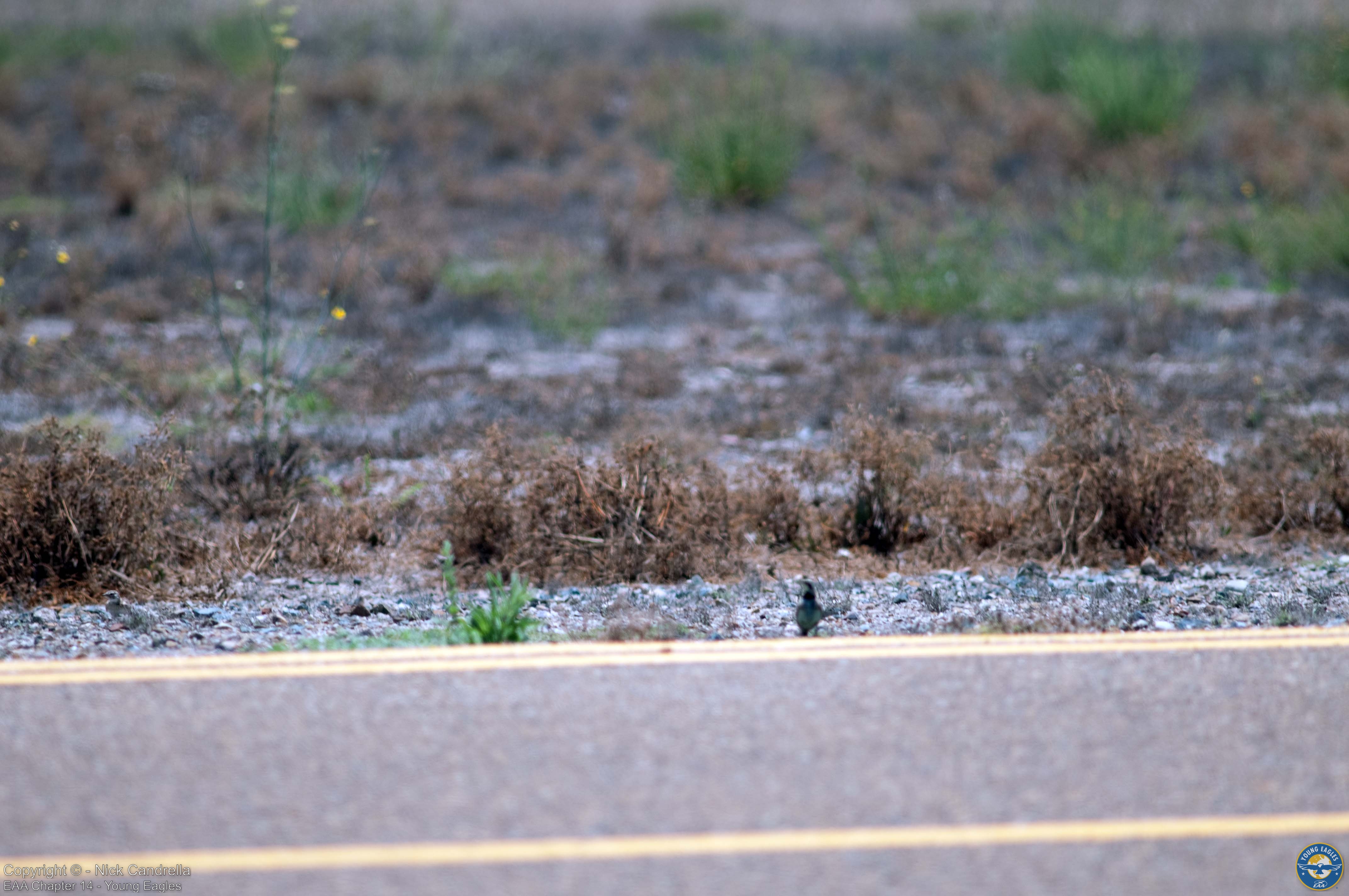 Young Eagles photo 13